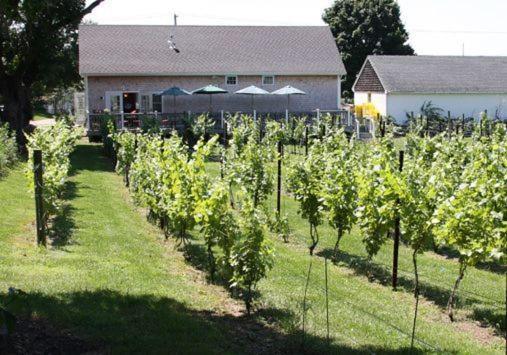 The Langworthy Inn & Winery Westerly Exterior foto